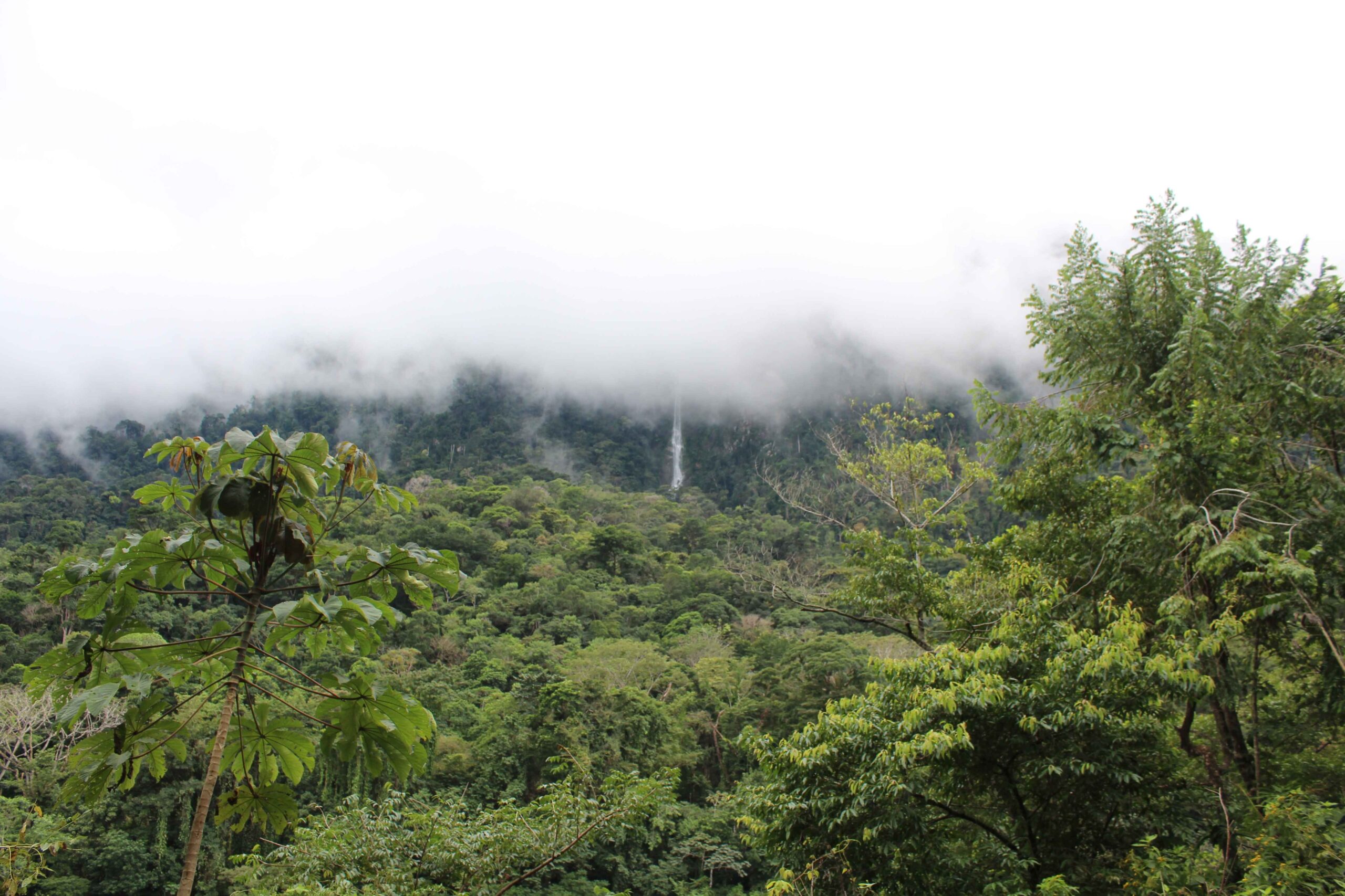 Pico Bonito Honduras